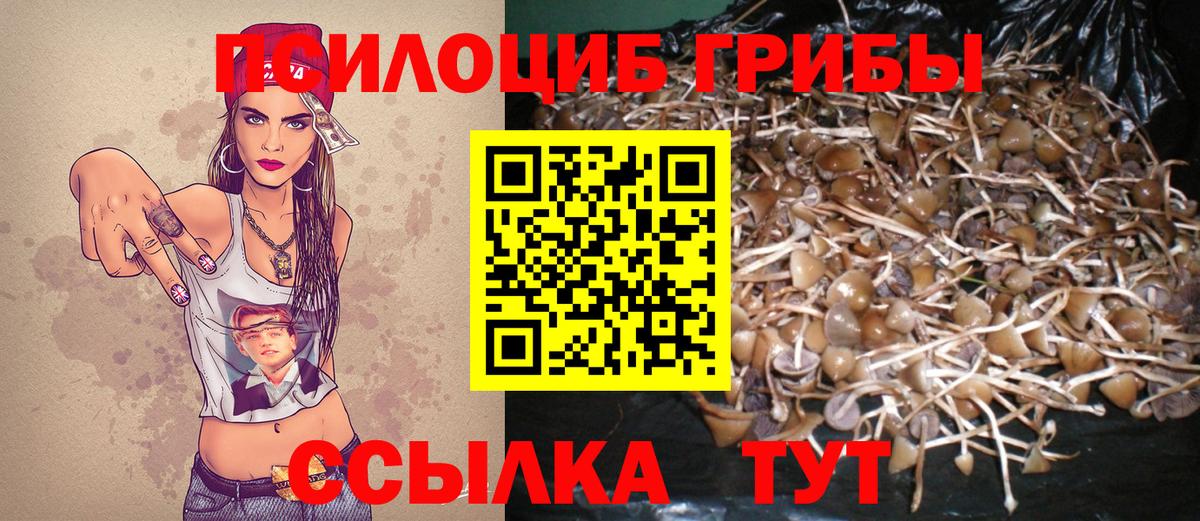 Галлюциногенные грибы мицелий Ростов Великий