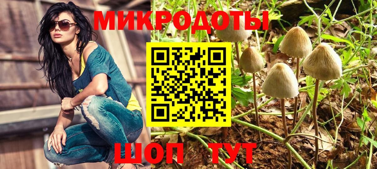 Ростов Великий  Псилоцибиновые грибы прущие грибы  Вход с VPN 